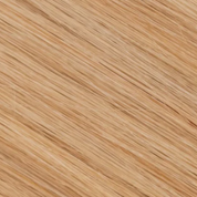 Classic Clip-in Collection (22Inch)