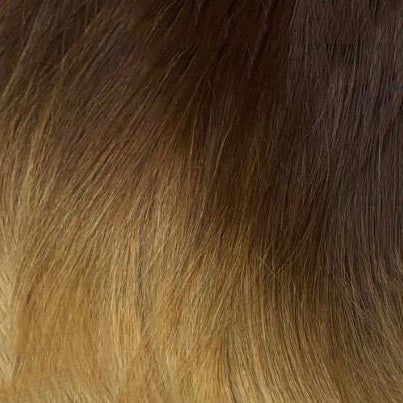 Classic Clip-in Collection (22Inch)